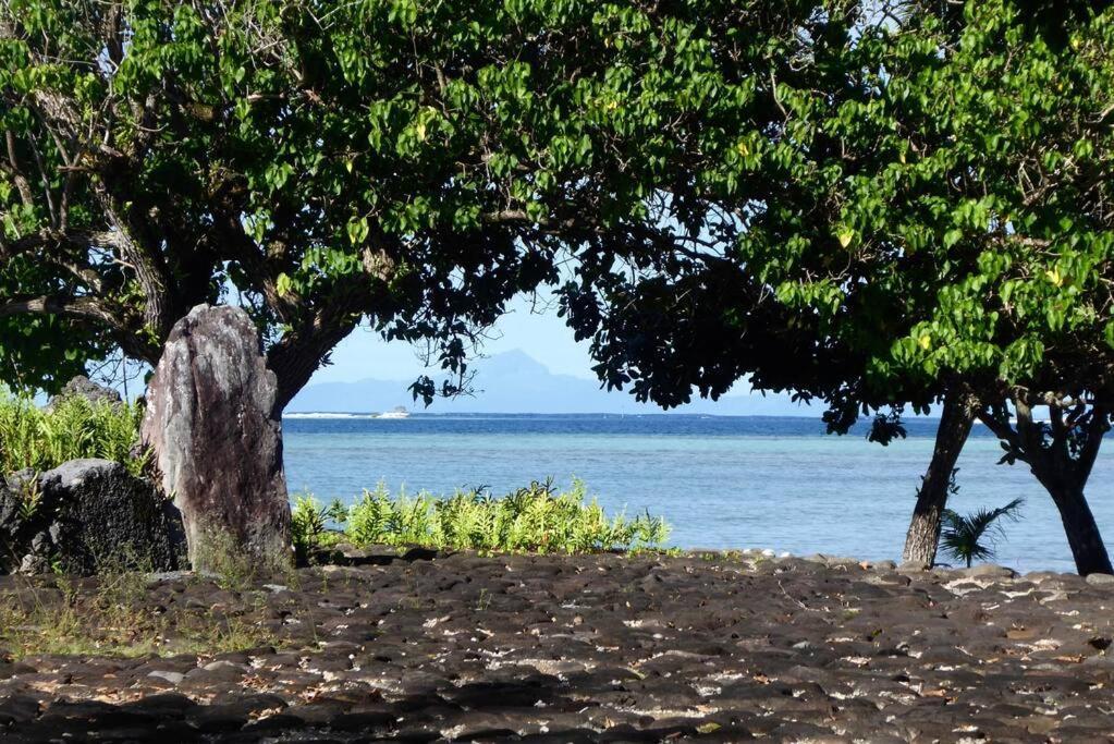 Raiatea, Opoa, Studio Du Fare Reve, Acces Mer Privatif Экстерьер фото