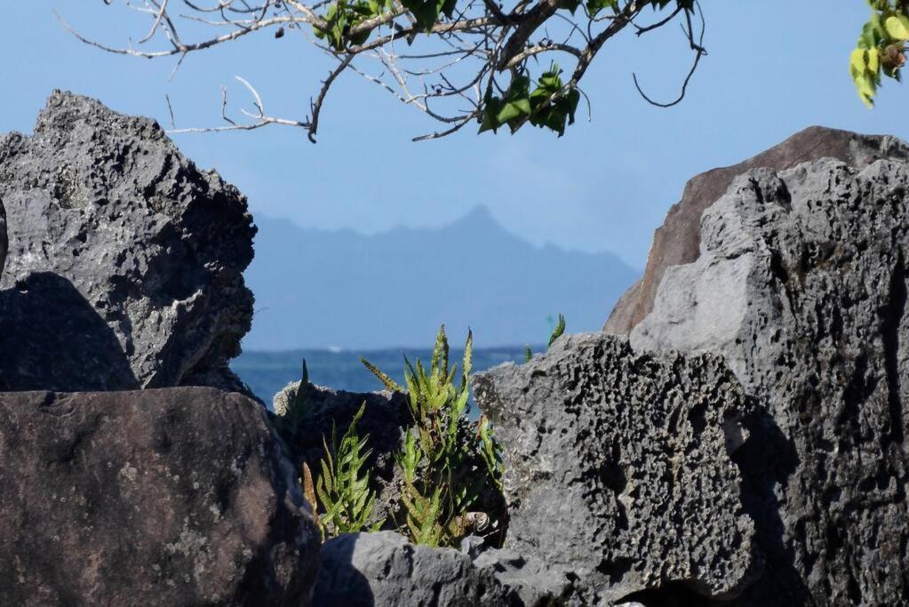 Raiatea, Opoa, Studio Du Fare Reve, Acces Mer Privatif Экстерьер фото