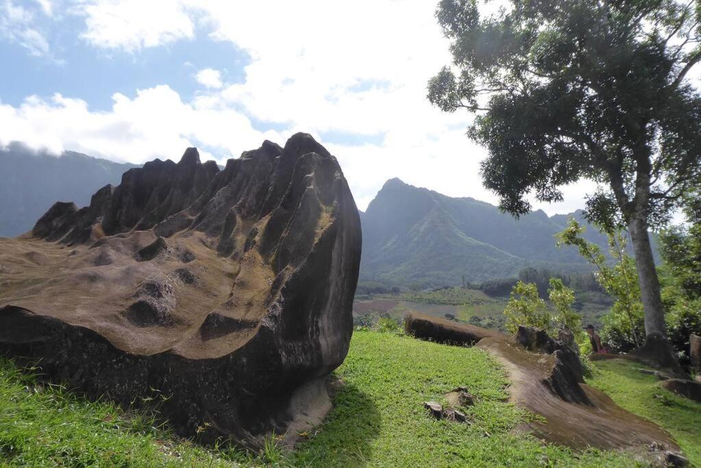 Raiatea, Opoa, Studio Du Fare Reve, Acces Mer Privatif Экстерьер фото