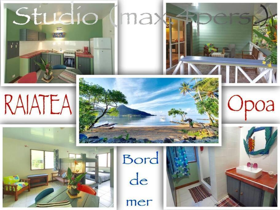 Raiatea, Opoa, Studio Du Fare Reve, Acces Mer Privatif Экстерьер фото
