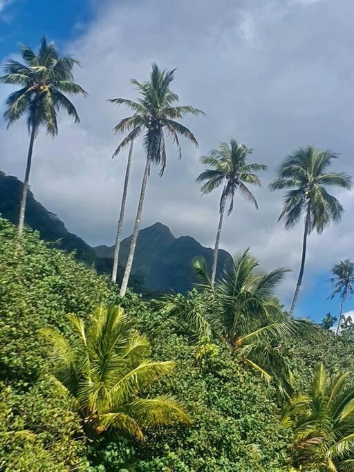 Raiatea, Opoa, Studio Du Fare Reve, Acces Mer Privatif Экстерьер фото