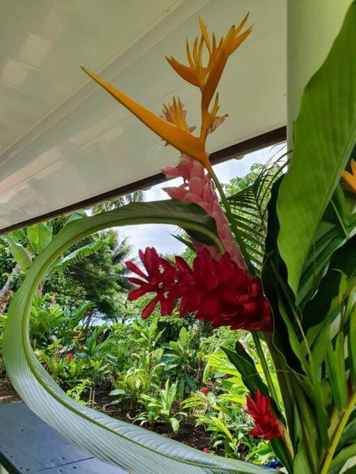 Raiatea, Opoa, Studio Du Fare Reve, Acces Mer Privatif Экстерьер фото