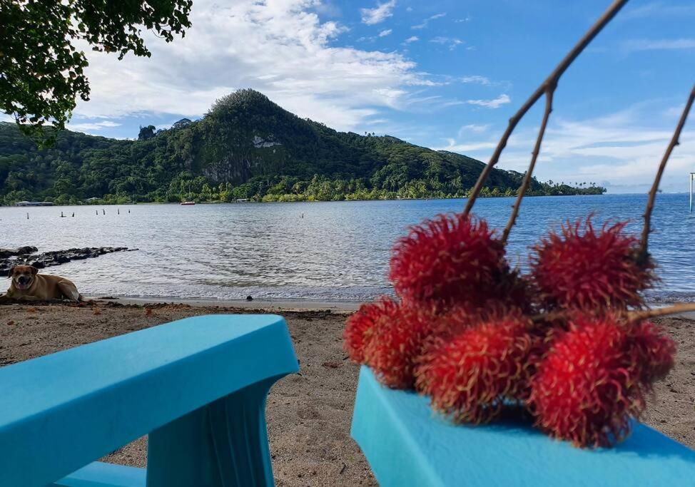 Raiatea, Opoa, Studio Du Fare Reve, Acces Mer Privatif Экстерьер фото